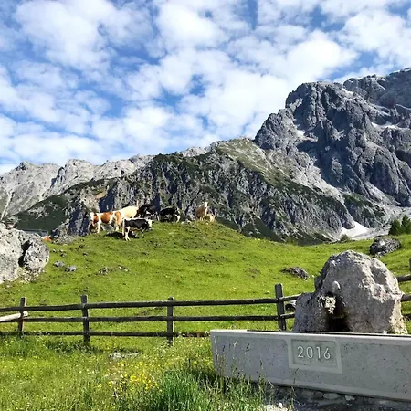 Salzburg, Dienten Apartamento Dienten am Hochkönig